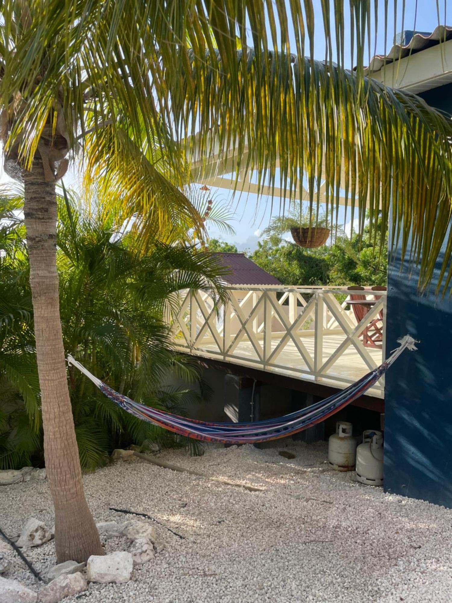 Mini Resort Kaya Verdi Willemstad Exterior foto