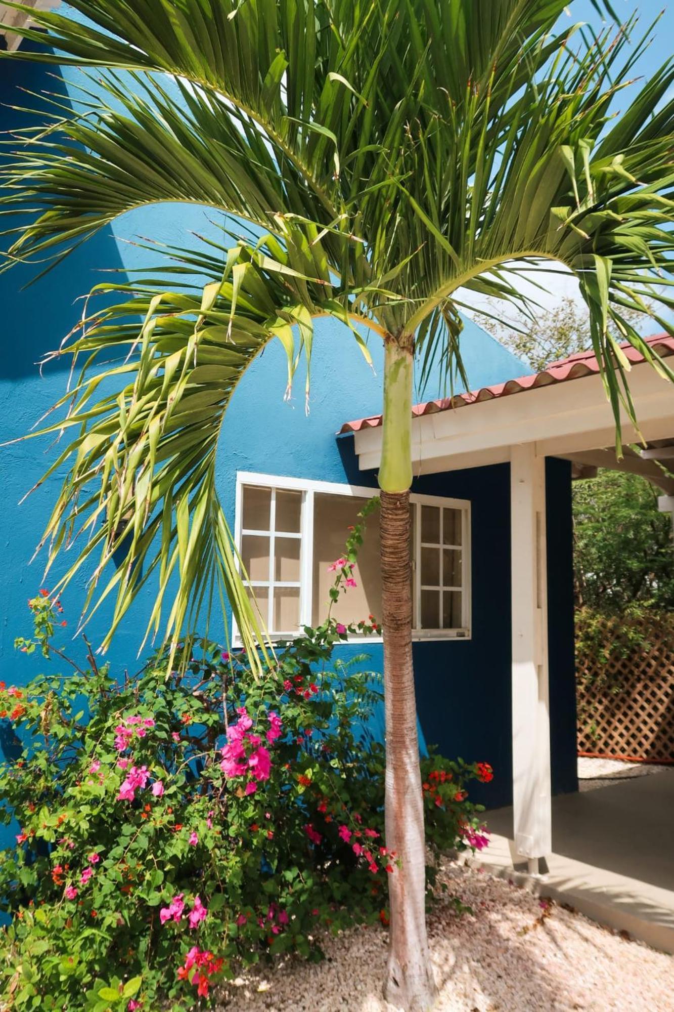 Mini Resort Kaya Verdi Willemstad Exterior foto